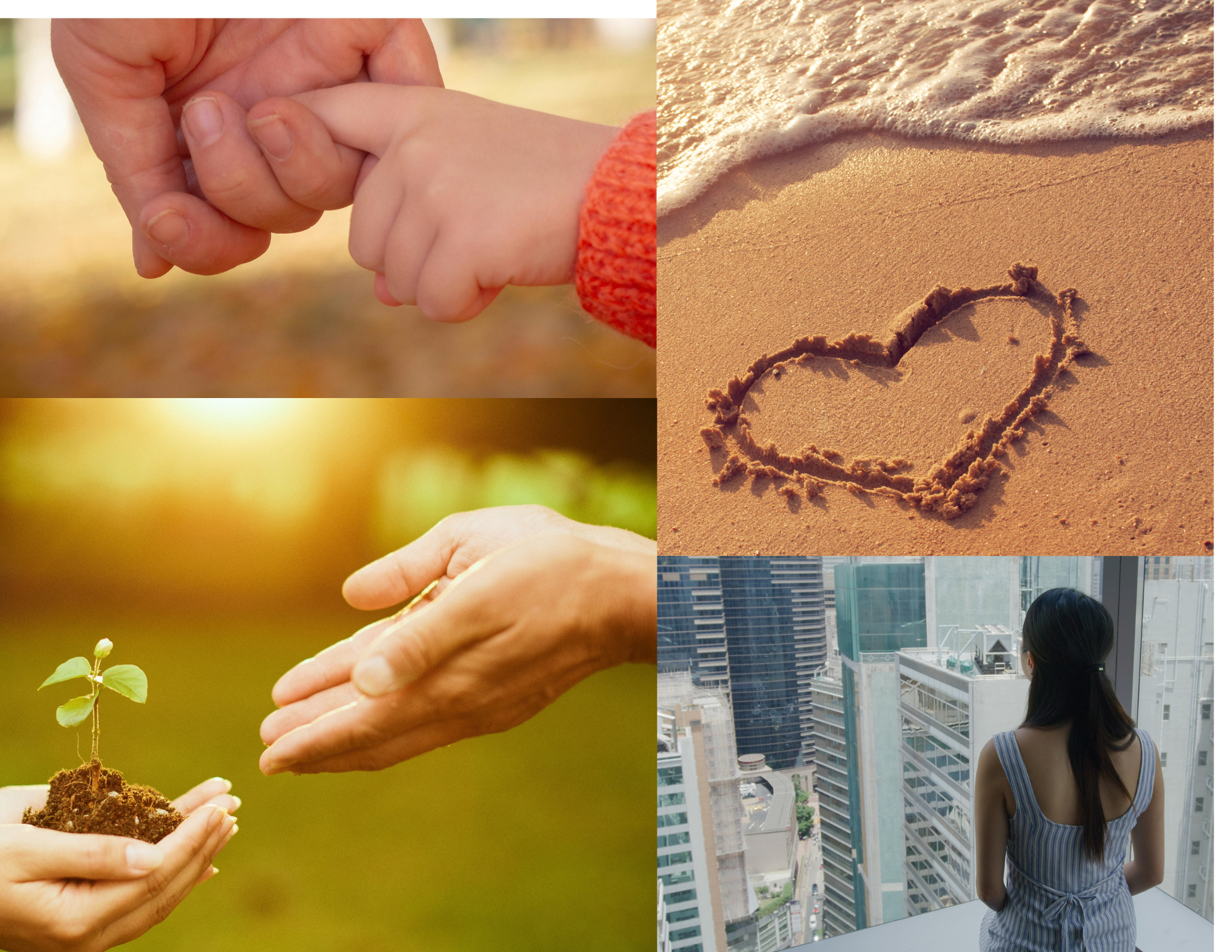 Mi az élet értelme?